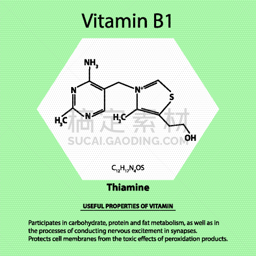分子结构,硫胺,公式,酸,生物学,蔬菜,健康保健,清新,营养品,药丸