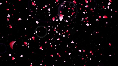 樱花的花瓣