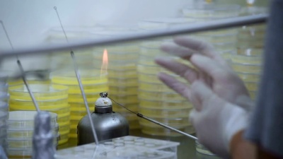 科学家在实验室工作实验