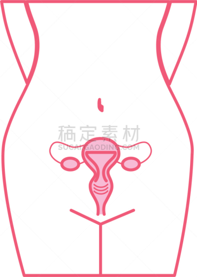 计算机图标,女性生殖系统,健康保健,人,有月经,图像,枝繁叶茂,女人