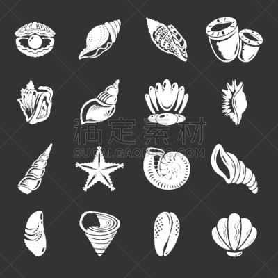 贝壳,鸡尾酒,国际著名景点,灰色,秘密,螺线,海星,船,动物,布置