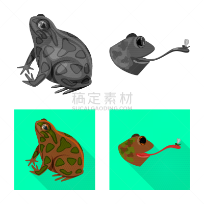 野生动物,分离着色,藓沼,一个物体,品牌名称,生物学,青蛙,动物,牛蛙,布置