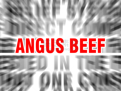 阿伯丁安格斯牛,牛肉,红色,概念,忠告,焦点,主题,图像,矢量,对焦