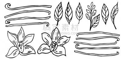 香草兰,动物手,生物学,图像技术,香料,热带气候,食品,复古风格,成分,香水