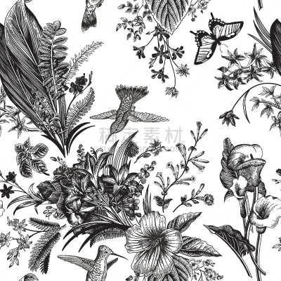 矢量,花纹,华丽的,热带气候,复古风格,马蹄莲,鸟类,四方连续纹样,复古,花