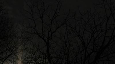 星星，云朵，月亮和树木