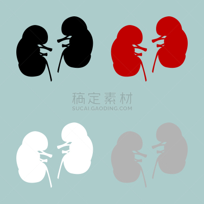 白色,红色,黑色,肾,计算机图标,灰色,生物学,白昼,健康保健,生病