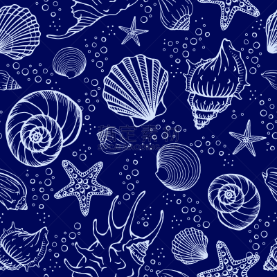矢量,草图,绘画插图,海洋,贝壳,蜘蛛网,背景,海星,高雅,请柬