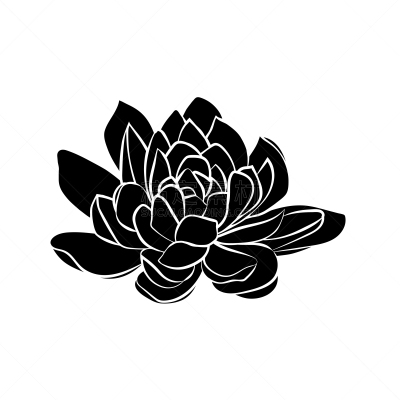 图标,荷花,华丽的,摆拍,植物群,模板,植物,花,剪影