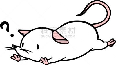 矢量,鼠,绘画插图,动物研究,科学实验,十二生肖,哺乳纲,动物,实验大白鼠,问号