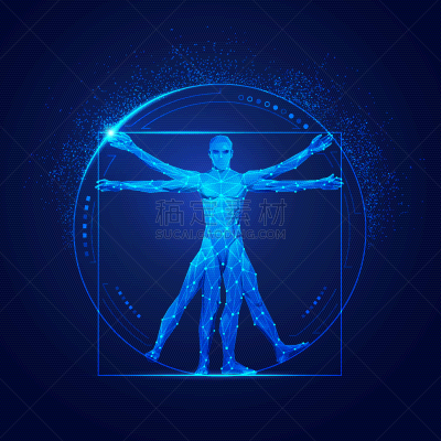 维特鲁威人,生物学,健康保健,名声,比例,几何形状,技术,艺术品,接线框