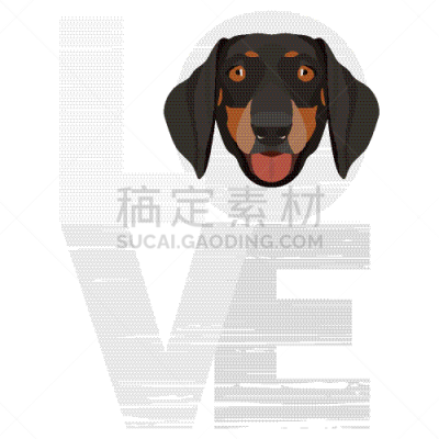 腊肠犬,白色,宠物,图像,狗,矢量,吠声,小狗,爱,设计