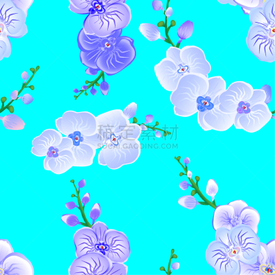 蓝色,白色,式样,绘画插图,矢量,兰花,轻的,时尚,蓝色背景,热带的花