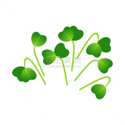 microgreens mizuna bunch plants white