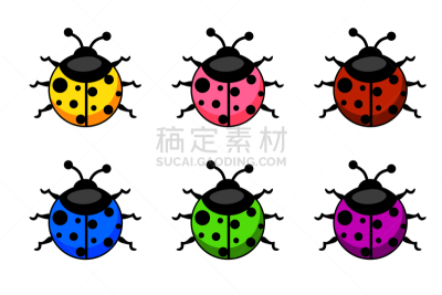 瓢虫,动物,昆虫,色彩鲜艳,卡通,分离着色,可爱的,白色,自然,布置