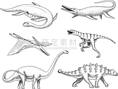 恐龙,重龙,性格,自然,图像,矢量,分离着色,捕猎行为,动物,收集