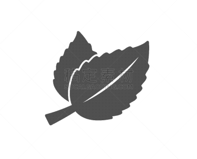 薄荷,草本,叶子,图标,矢量,自然,图像,图像特效,镇静,设计