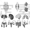 分离着色,里面,医疗标志,人造物,生物学,静脉滴注,健康保健,整形器具,莫诺湖,思考