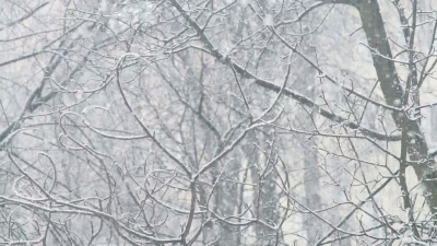 暴风雪背景