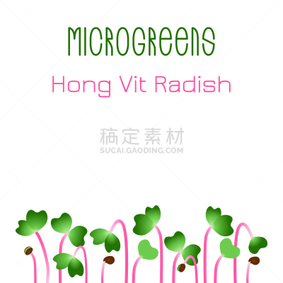 microgreens hong vit radish seed packaging design
