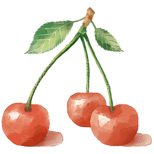 水果插画-樱桃