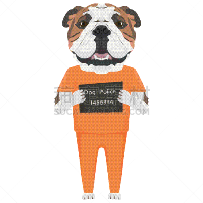 狗,英格兰斗牛犬,通缉照,宠物,矢量,吠声,插画