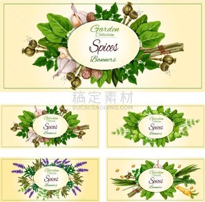 清新,香料,草本,调料,农业,芹菜,熏衣草,肉豆蔻,烹调