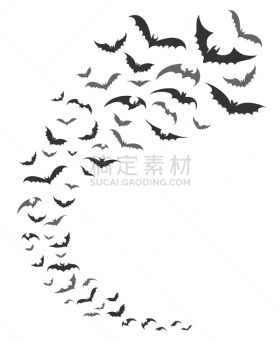 昆虫群,蝙蝠,秘密,十月,怪异,午夜,野生动物,动物,剪影