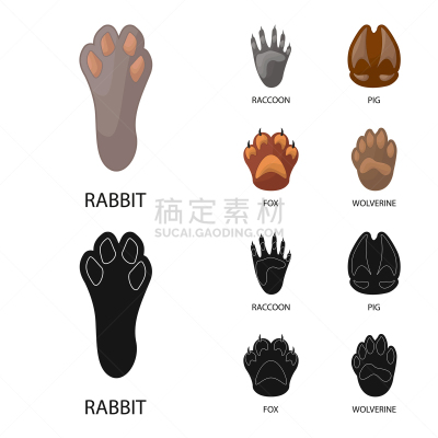 符号,可爱的,脚印,脉搏图,野生动物,狗,猪,动物,步行,踏步