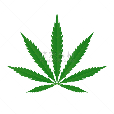 叶子,绿色,计算机图标,健康保健,草,植物,剪影