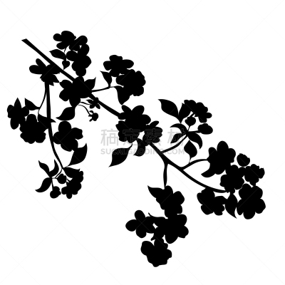 花朵,嫩枝,苹果,传统,樱桃,自然美,春天,树,花