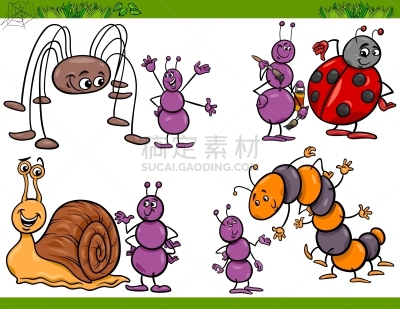 昆虫,卡通,快乐,自然,图像,鼻涕虫,毛虫,瓢虫,蜘蛛纲,教育