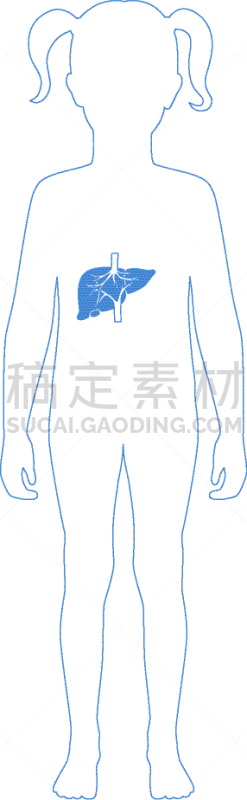分离着色,肝脏,生物学,健康保健,新陈代谢,胆汁,女人,肝炎,品牌名称,儿童