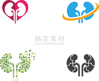 肾脏,生物学,健康保健,部分,家庭,门诊部,模板,品牌名称