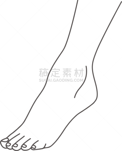 足,腿,女性,人类脚趾,成一排,白色,分离着色,脚印,站,画画