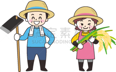 女人,稻,男人,农民,农业,商务,中老年男人,中老年女人,仅日本人,米