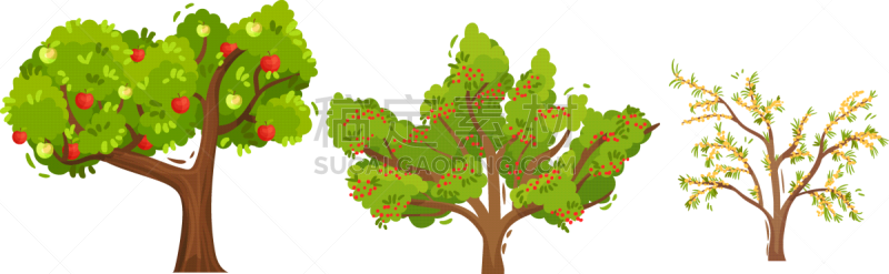 garden fruit trees and berry bushes set