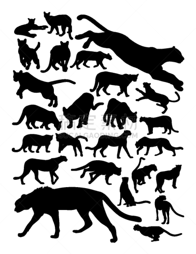 猎豹,彪马,野生动物,迅速,狮子,哺乳纲,动物,美洲豹,品牌名称,剪影