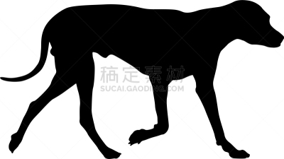 狗,白色背景,纯种犬,哺乳纲,动物,吠声,动物雪车,小狗,剪影,训练