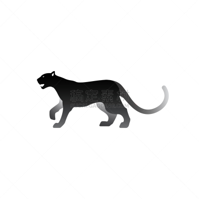 分离着色,白色,黑豹,自然,动物园,野生动物,猫,美洲狮,彪马,哺乳纲