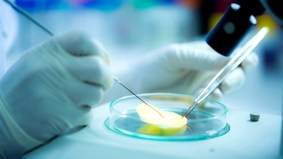 科学家和生物实验室实验