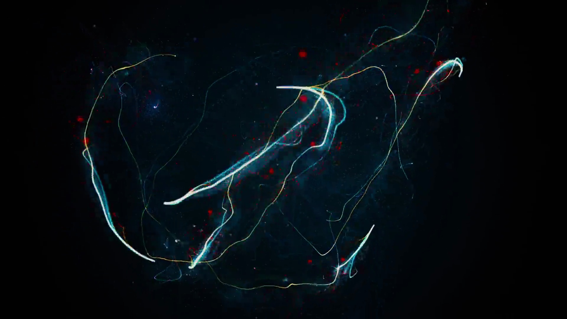 闪烁的星星，闪烁的轨迹，辉光的尘埃混沌
