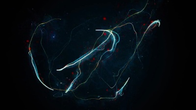 闪烁的星星，闪烁的轨迹，辉光的尘埃混沌