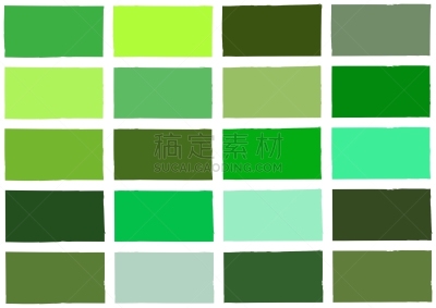 绿色,彩色图片,树荫,背景,白色,图像,矢量,抽象,开心果,梨