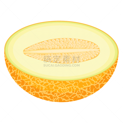式样,水果,卡通,有机食品,健康生活方式,矢量,清新,绘画插图,瓜,分离着色