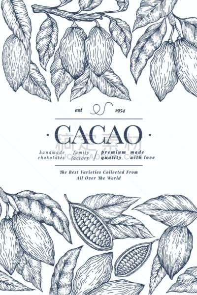 cocoa banner template chocolate cocoa beans
