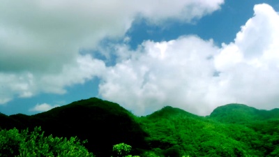 青山白云
