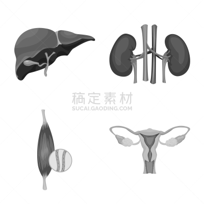 人,分离着色,标志,人造物,人类的生殖器官,卵巢,膀胱,收集