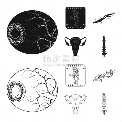 人,标志,人类的生殖器官,卵巢,冠状动脉,主动脉,眼球,脊柱
