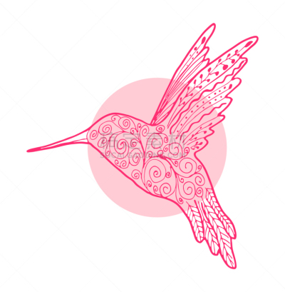 矢量,式样,鸟类,绘画插图,蜂鸟,粉色,轮廓,分离着色,动物手,品牌名称